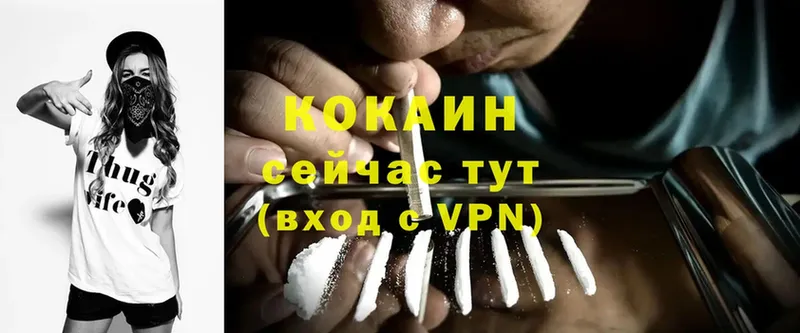 Cocaine VHQ  как найти закладки  кракен ONION  Елизово 