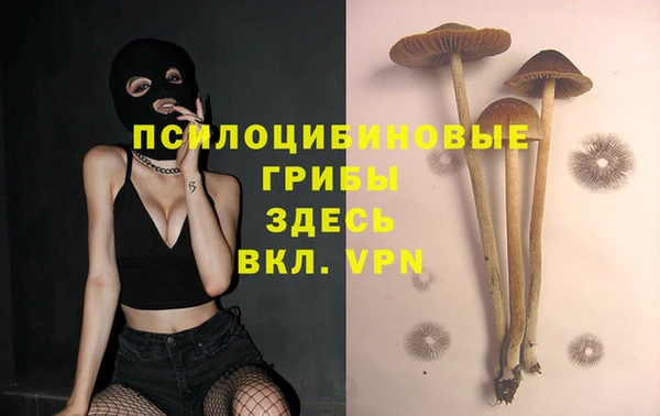 ALPHA PVP Белоозёрский