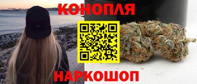 сатива Дубна