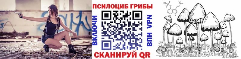 мега сайт  Елизово  Псилоцибиновые грибы прущие грибы 