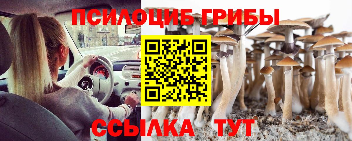 Галлюциногенные грибы прущие грибы Елизово