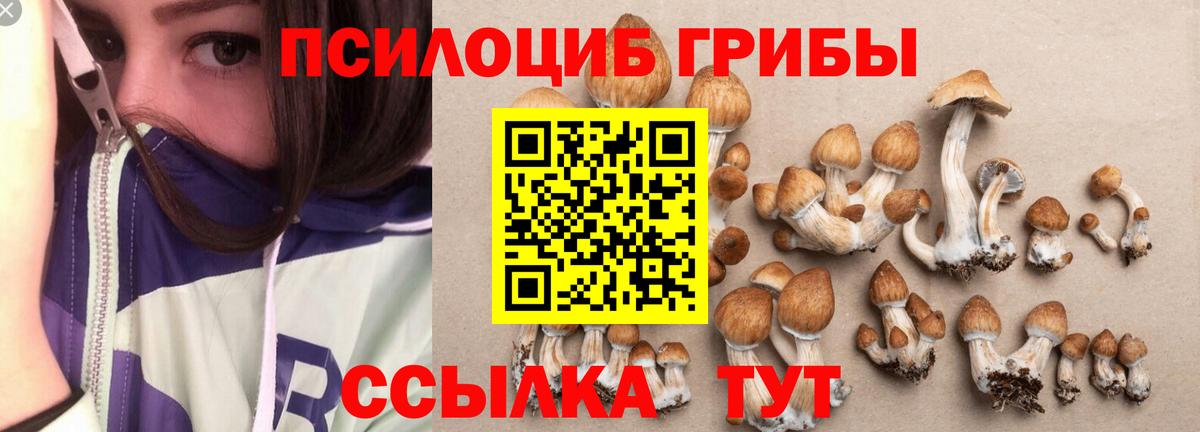 Елизово  Псилоцибиновые грибы ЛСД  Вход с VPN  Псилоцибиновые грибы MAGIC MUSHROOMS 
