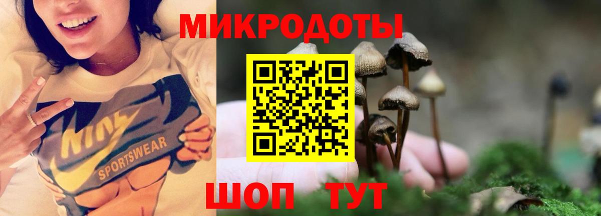 ГАШ  Каннабис  КОКАИН  Наркошоп  Меф кристаллы  ГАШ  Елизово  Вход с VPN 